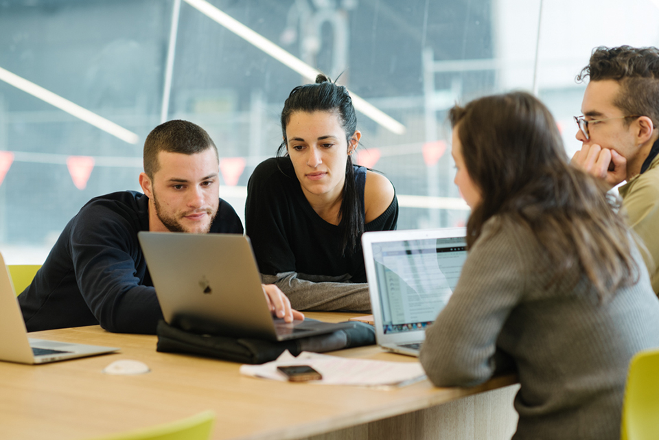 Students Working on Research Projects